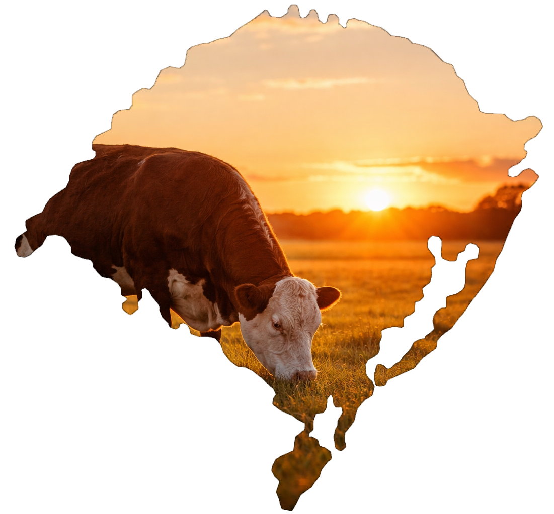 Região Sul do Brasil